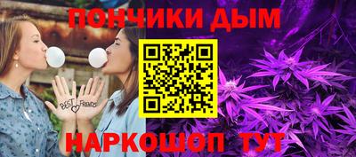 индика Кингисепп