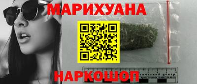 индика Кингисепп