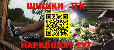 индика Кингисепп