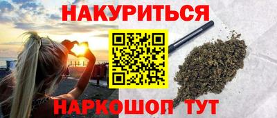 индика Кингисепп