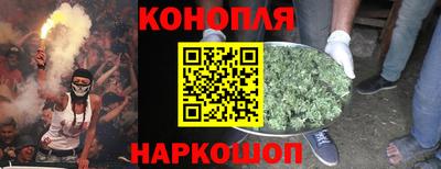 шишки Кинель