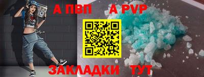индика Кингисепп