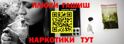 индика Кингисепп