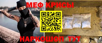 индика Кингисепп