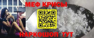 индика Кингисепп